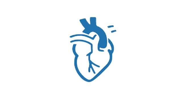 Cardiology icon