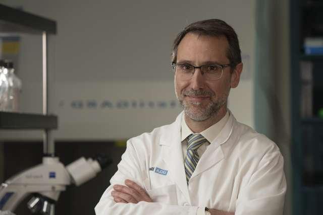 Dr. Antoni Ribas